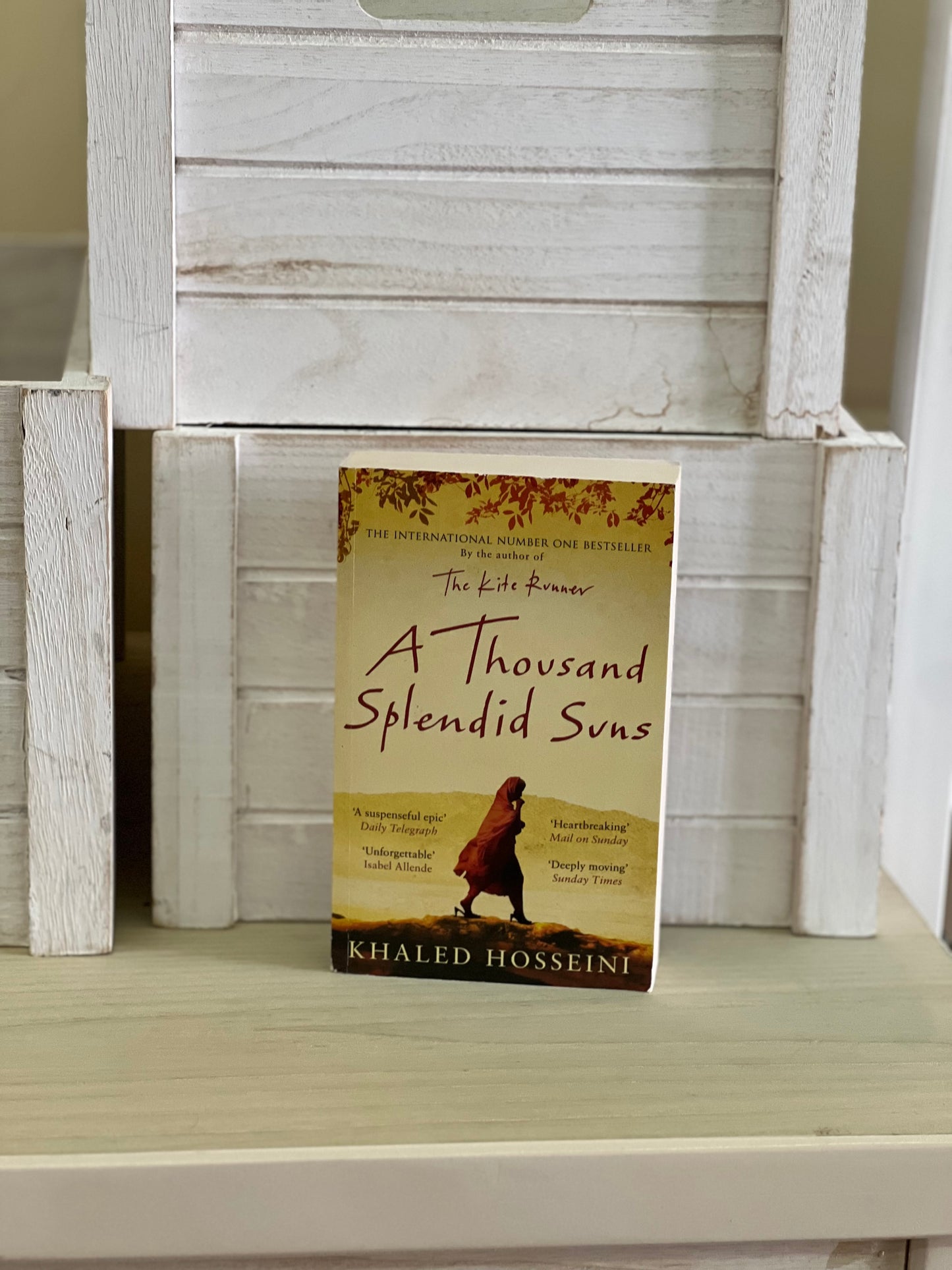 A thousand splendid suns